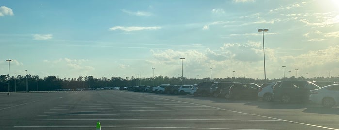Butterfly Parking Lot is one of Transportation & Misc Disney World Venues.