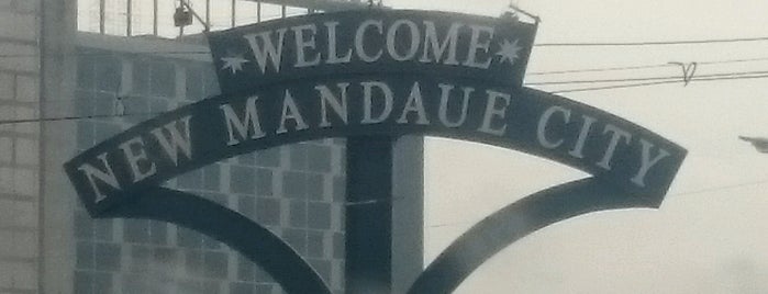 Mandaue City is one of Cebu Province.