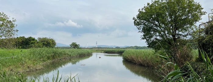 關渡自然公園 Guandu Nature Park is one of Taiwan.