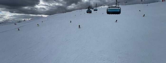 Plateau is one of ski.