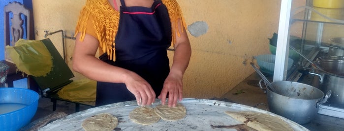 Comedor El Tule is one of a probar.