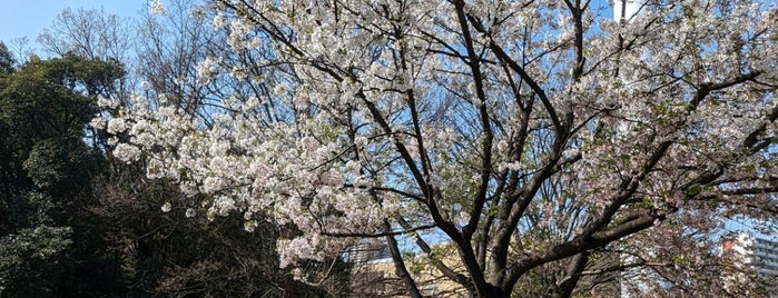 Hikarigaoka Library is one of library.