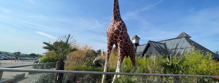 Colchester Zoo is one of London.