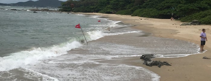 Praia Bacia da Vovó is one of #eufui SANTA CATARINA.