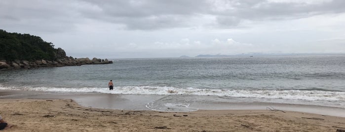 Praia da Tainha is one of SC.