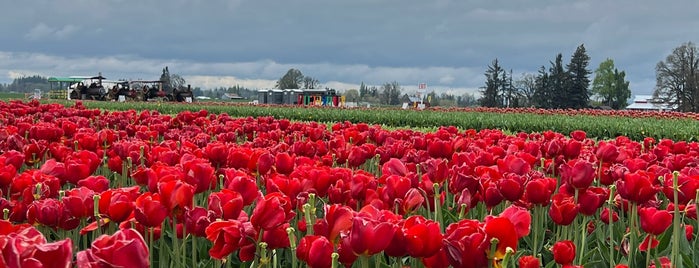 Wooden Shoe Winery is one of Oregon 2022.