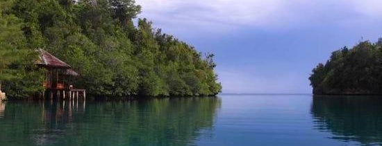 Kadidiri Paradise Dive Resort is one of Outdoors PALU Sulawesi Tengah.
