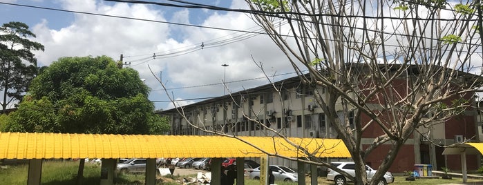 Universidade Federal do Pará (UFPA) is one of Favoritos no Brasil.
