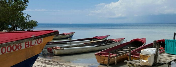 Bluefield's Bay Fish Sanctuary is one of Jamaica.
