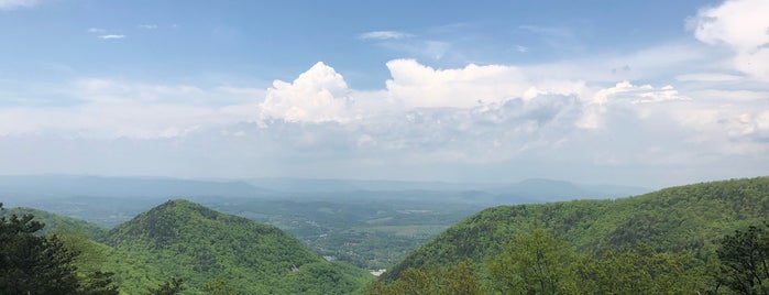 Buena Vista Overlook is one of Tempat yang Disukai Michael.