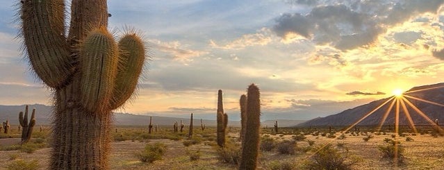 Parque Nacional Los Cardones is one of Cachí.