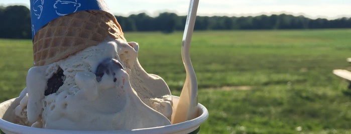 Broom's Bloom Dairy is one of America's Best Ice Cream Shops.