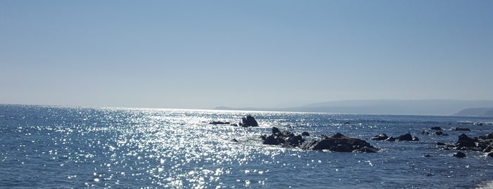 Playa Algarrobo is one of สถานที่ที่บันทึกไว้ของ Alvaro.