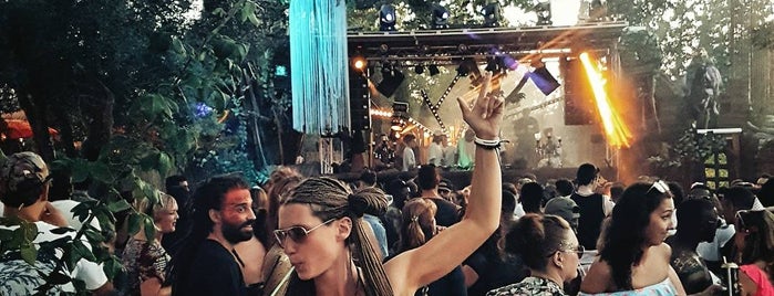 The Zoo Project is one of Locais curtidos por Hanna.