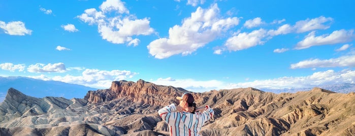 Death Valley National Park is one of สถานที่ที่ Hanna ถูกใจ.