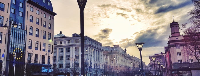 Площадь Винцаса Кудирки is one of Hanna : понравившиеся места.