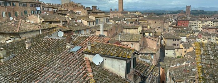 pinacoteca nazionale is one of Cose da fare a Siena.