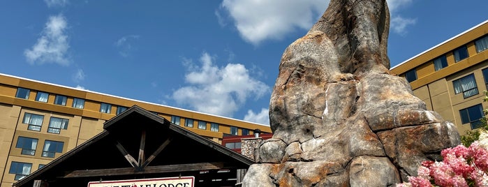 Great Wolf Lodge is one of etc..