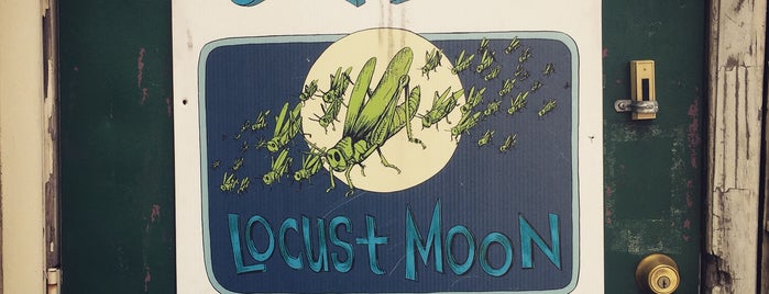 Locust Moon Comics and Movies is one of Retail Campaigns.