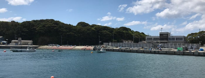 Tashirojima is one of 田代島旅行.