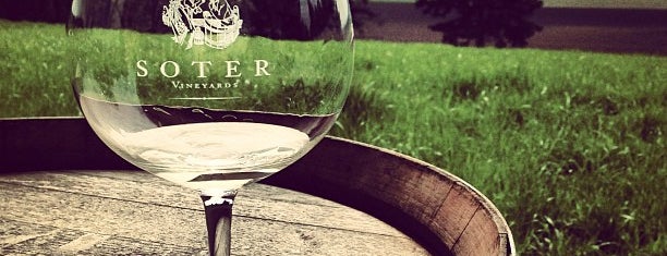 Soter Vineyards is one of A Weekend Away in Willamette Valley.