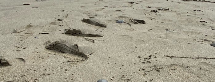 La Push Beach is one of สถานที่ที่ Felicity ถูกใจ.