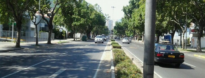 Avenida Libertad is one of Tempat yang Disukai Gustavo.