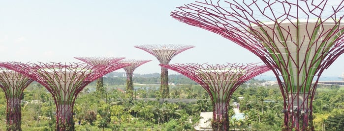 Gardens by the Bay is one of singa2.