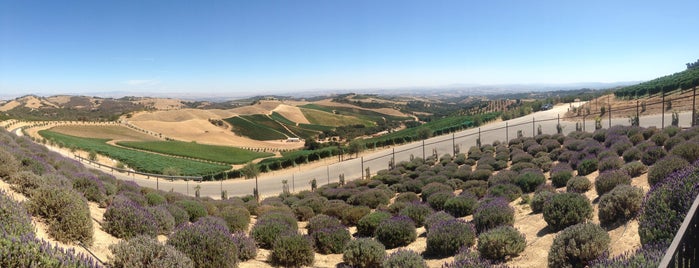 Daou Vineyards is one of Rachel'in Beğendiği Mekanlar.