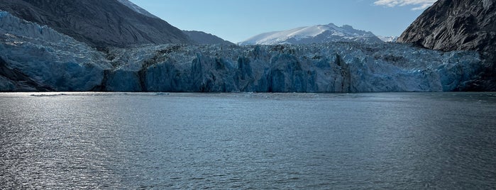 Tracy Arm Fjord Boat Trip To Sawyer Glaciar is one of Orte, die Rachel gefallen.