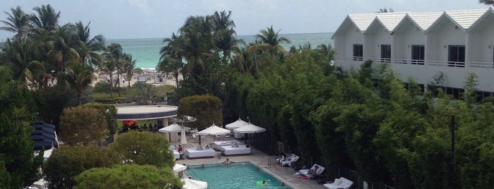 Nautilus Sonesta Miami Beach is one of Locais curtidos por Rachel.