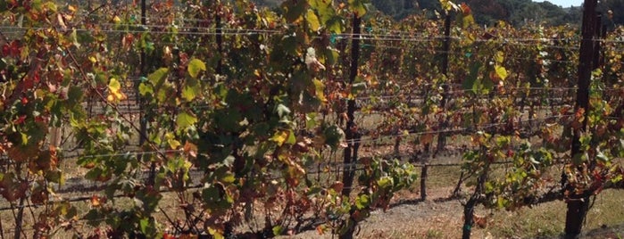 Melville Vineyards & Winery is one of Orte, die Rachel gefallen.