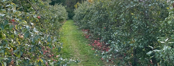 Russell Orchards is one of North Shore.
