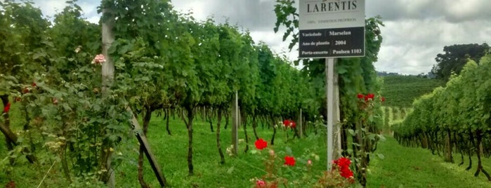 Vinícola Larentis is one of Gespeicherte Orte von Marcelo.