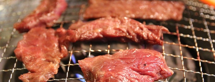 焼肉 ホルモン焼 焼肉 ホルモン焼