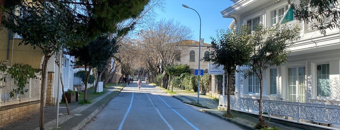 Çankaya Caddesi is one of Büyükada.