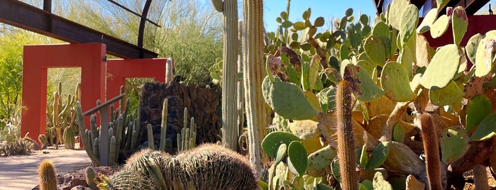 Desert Discovery Loop is one of PHX.