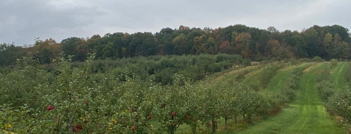 Brant's Apple Orchard is one of Favorite places.