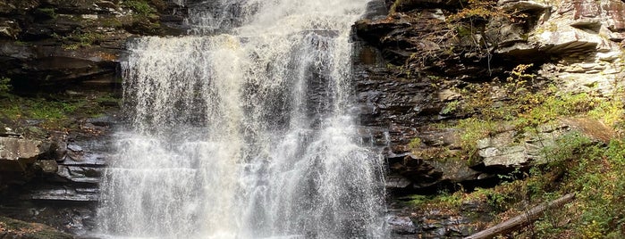 Ricketts Glen Falls Trail is one of Camping and Glamping.