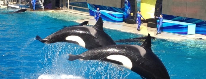 SeaWorld San Diego is one of Jordan's Saved Places.