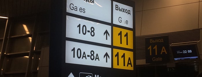 Выход / Gate 11/B11 is one of Vnukovo gates.