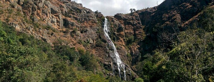 Cachoeira Do Cerradão is one of สถานที่ที่ Aline ถูกใจ.