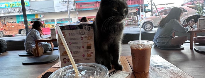 CAT 'n' A CUP is one of Мария 님이 좋아한 장소.