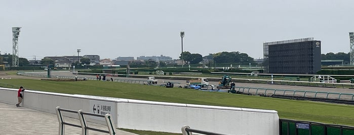 Nakayama Racecourse is one of 行きたい.