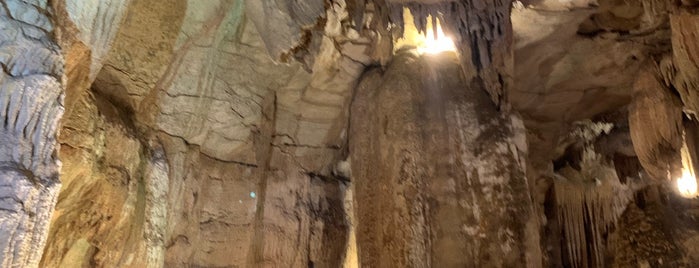 Rickwood Caverns State Park is one of Places I have been.