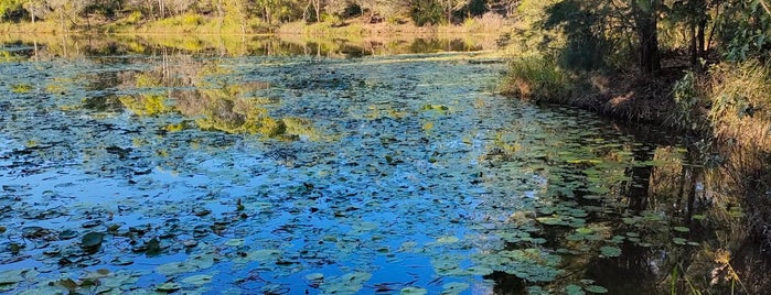 Berrinba Wetlands is one of Been There.