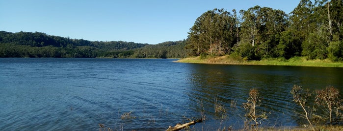 Lake Baroon Pocket Dam is one of Sunny Coast sights and delights.