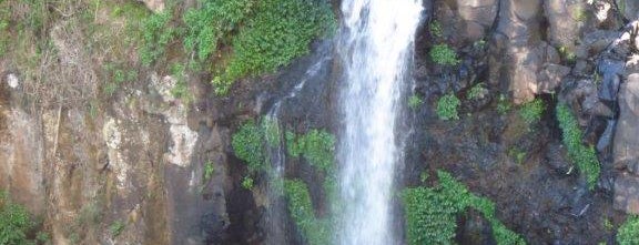 Queen Mary Falls is one of Mikeさんの保存済みスポット.