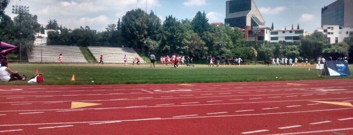 Canchas De Tocho Villa Olimpica is one of MariFerさんのお気に入りスポット.