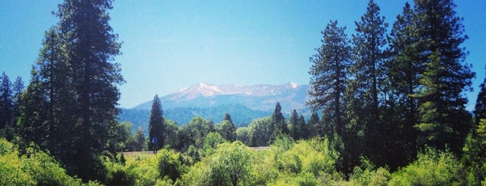 Mt Shasta City Park is one of Best of my Backyard :).